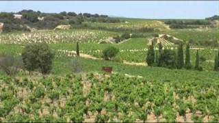 chateauneuf du pape [upl. by Goldsworthy]