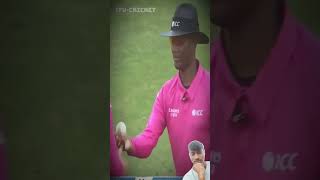 Funny Crowd Moments in CricketFunny Crowd Moments Cricket Shorts [upl. by Obeded]