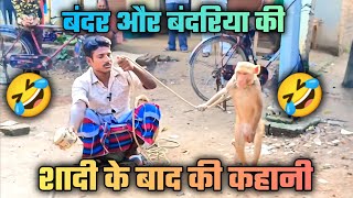 Bandar ऐंड Bandariya ka khel 😍 क्या कमाल का बंदर है  Comedy Video  Video From your YouTube [upl. by Dev]