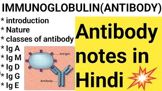 IMMUNOGLOBULIN notes in Hindi ANTIBODY Ig GIg MIg AIg D Ig E lecture in Hindiantibody notes [upl. by Shela]