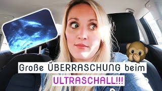 Vlog  Aufgeregt  Termin beim Frauenarzt  1 Zyklus nach Absetzen der Pille  Annis Blog [upl. by Ari100]