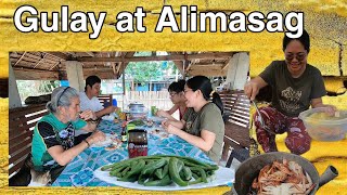 VLOG 439 GULAY AT ALIMASAG PANANGHALIANG SAPAT [upl. by Ailemak893]