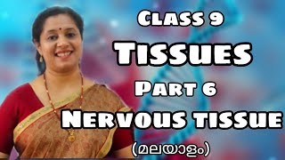 CLASS9 BIOLOGY TISSUES PART6 NERVOUS TISSUE MALAYALAM [upl. by Atsyrc]