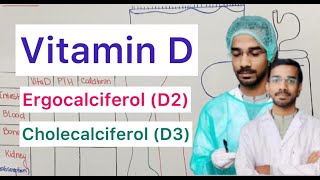 Vitamin D  Ergocalciferol D2  Cholecalciferol D3 [upl. by Fen967]