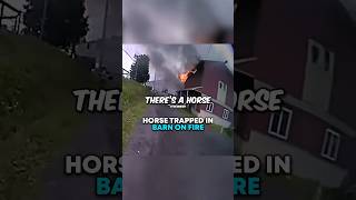 Cops Rush To Horse TRAPPED In Barn Fire 🤯 [upl. by Iror]