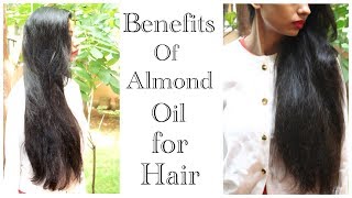 Benefits of Almond Hair OilHow to use Almond Oil for HealthyThick Hair [upl. by Nalro]