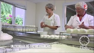 Conso  Crottin de Chavignol  Un savoirfaire 100 français [upl. by Evannia]