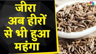 Cumin Price Hike  मसालों में तेजी कायम NCDEX में जीरा 4 उछला आगे क्या है Outlook  Commodity [upl. by Nauqit]