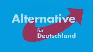 Musikvideo AfDWahlkampflied Wahlen 2017 [upl. by Euqnimod]