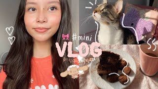 🍓Mini Vlog Passe dois dias comigo ✨ ୨ৎ  Pinguimnari [upl. by Enyrb]