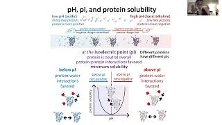 Variability in protein isoelectric points pIs amp charges depending on cellular location etc [upl. by Otrebla]