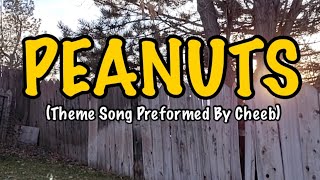 Funky Peanuts Theme Song Cover peanuts charliebrown theme instrumental music classic funny [upl. by Yoong]