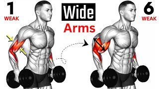 5 BEST Exercises for WIDER ARMS [upl. by Aicen]