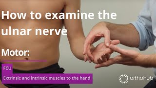 How to examine the ulnar nerve  watch orthohub examinations with UK orthopaedic surgeon Tom Quick [upl. by Lee]