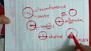 About Circle  Parts of Circle  Component of Circle  Radius Diameter  Chord  Segment circle [upl. by Suhpoelc]