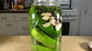 Homemade Dill Pickles Lactofermented [upl. by Aniehs132]