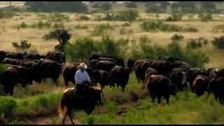 I Am Angus  Joe Leathers 6666 Ranch  RFDTV [upl. by Htiek846]