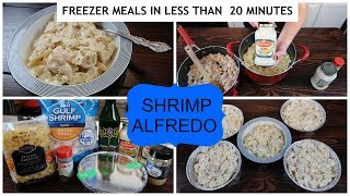 BOW TIE PASTA SHRIMP ALFREDO [upl. by Lynde]