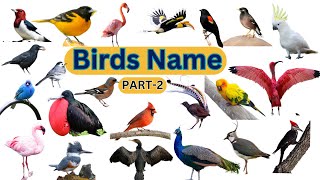 Birds Name in English  50 Birds Name  Birds Vocabulary  Birds Name in English with Pictures [upl. by Henarat4]