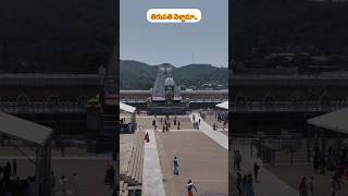 Tirupati veldhama tirupati tirumala tirumalafacts tirumalatemple tirumaladarshanupdate ytshort [upl. by Vevine]