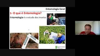 Entomologia Geral  Aula 02  Origem e Evolução dos Insetos [upl. by Chloe]