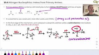 Reactions of Amines with Ketones and Aldehydes Imine Formation and Related Condensations [upl. by Ellekram]