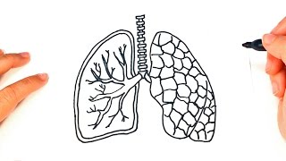 Cómo dibujar unos Pulmones paso a paso  Dibujo fácil de Pulmones [upl. by Sukin]