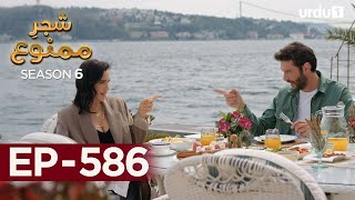 ShajareMamnu  Episode 586  Turkish Drama Forbidden Fruit  Urdu Dubbing  11 September 2023 [upl. by Rondon]