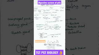 Digestive system of PilaAnimal kingdomMolluscaTgt Pgt Biologymollusca animalkingdom shorts 🔥 [upl. by Ethbinium]