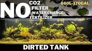 Aquascape Tutorial How To Make A Natural Planted Dirted Tank  Low Tech Tank  Ecosystem Aquarium [upl. by Rosco517]