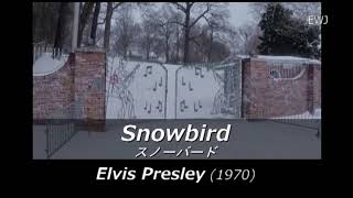 歌詞対訳 Snowbird  Elvis Presley 1970 [upl. by Laverna]