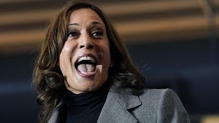 ‘Not very smart’ Alex Stein criticises Kamala Harris’ intelligence [upl. by Yasu]