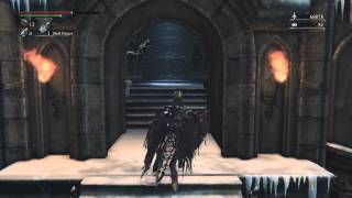 Bloodborne  How to find Annalise amp Vileblood Covenant [upl. by Locklin]