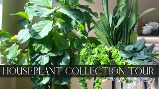 NEW Houseplant Collection Tour Spring 2022 [upl. by Edlyn]