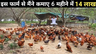 ऐसा फ्री रेंज देशी मुर्गी फार्म आपने देखा नहीं होगा  Free Range Poultry Farming  Poultry Farm Tour [upl. by Holmen]