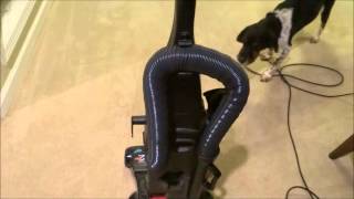 CRAZY Barking Dog HATES vacuum [upl. by Neiviv]