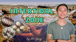 INTERTIDAL ZONE  by Sir Yong [upl. by Deonne]