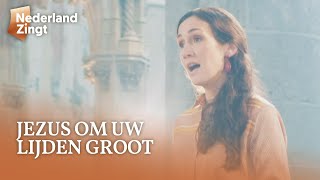 Jezus om uw lijden groot  Nederland Zingt [upl. by Patten996]