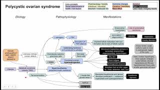 Polycystic ovarian syndorme PCOS mechanism of disease [upl. by Goldenberg214]