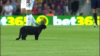 Gato negro en el Camp Nou [upl. by Ahtnammas801]