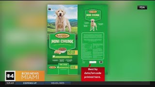 Dog food recalled due to potential salmonella contamination [upl. by Boleyn]