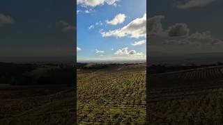 Drone Over Morgon CRU BEAUJOLAIS France [upl. by Rustie506]