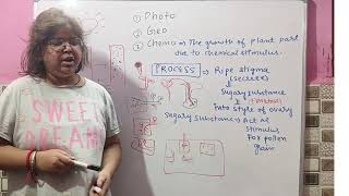 5 Class 10th Science Control and CoordinationTypes of Tropismtropic movement biology science [upl. by Accissej]