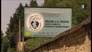 Yonne  venez pêcher vousmême vos truites bio [upl. by Kancler407]