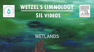 Wetlands  Wetzels Limnology SIL Video [upl. by Yblocaj]