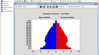 Population Pyramid Statlet [upl. by Tivad]