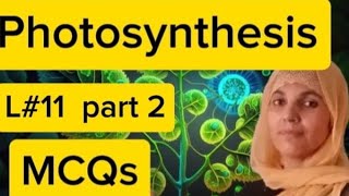 Plant physiologyBioenergeticsL11photosynthesis MCQsAll boards examNEETMDCAT Biology [upl. by Quartana]