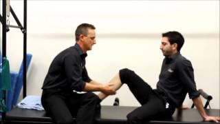 Calf strain advice by my Physio SA for trainers Adelaide Physiotherapist [upl. by Dionne234]