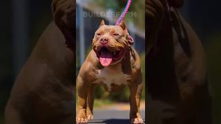 Top 5 Dog Breeds for Haunted House Protection 😮 shorts pitbull dogbreed [upl. by Nywled]