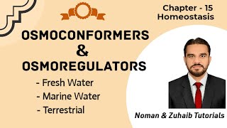 L 3  Osmoconformers  Osmoregulation in Fresh Water  Marine Water  Terrestrial Habitat [upl. by Huberman]